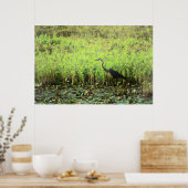 ヘロン6449 ポスター (キッチン)