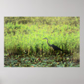 ヘロン6449 ポスター (正面)