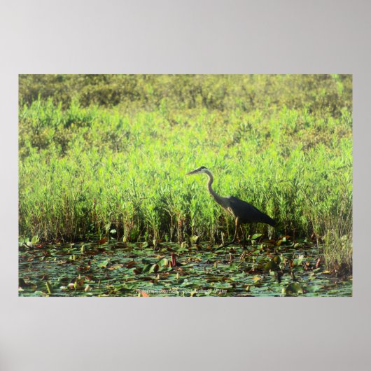 ヘロン6449 ポスター (正面)