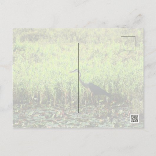 ヘロン6449 ポストカード (裏面)