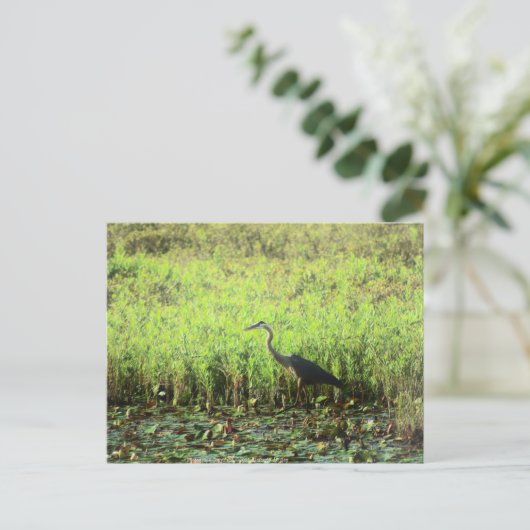 ヘロン6449 ポストカード (スタンド正面)