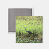 ヘロン6449 マグネット (正面/裏面)