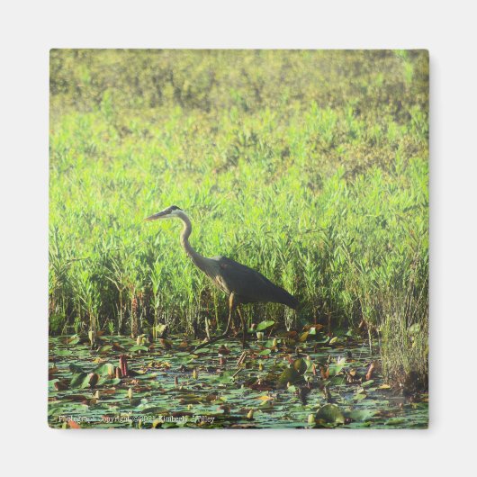 ヘロン6449 マグネット (正面)