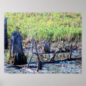 ヘロン6467 ポスター (正面)