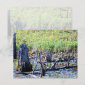 ヘロン6467 ポストカード (正面/裏面)