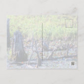 ヘロン6467 ポストカード (裏面)