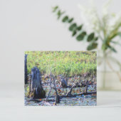 ヘロン6467 ポストカード (スタンド正面)