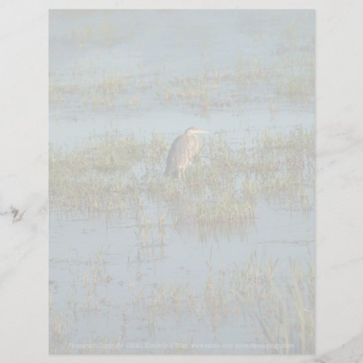 ヘロン6937 (正面)