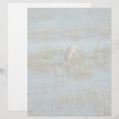 ヘロン6937 (正面/裏面)