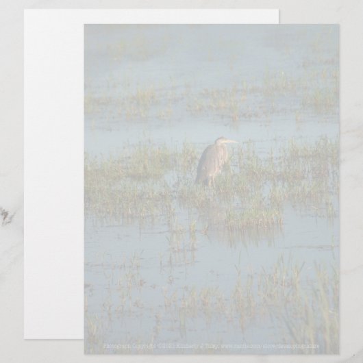 ヘロン6937 (正面/裏面)