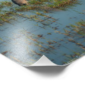 ヘロン6937 フォトプリント            (角)