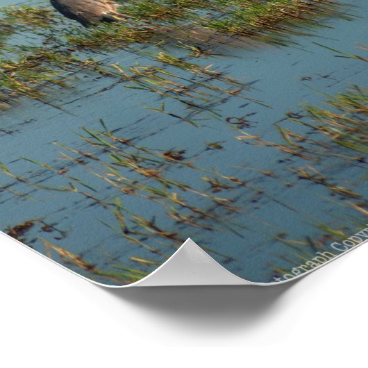 ヘロン6937 ポスター (角)