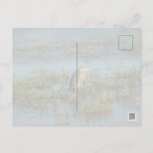 ヘロン6937 ポストカード (裏面)