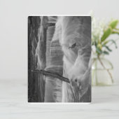 ヘロン・イン・ザ・秋 シーズンカード (スタンド正面)