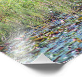 ヘロンP6450 フォトプリント            (角)