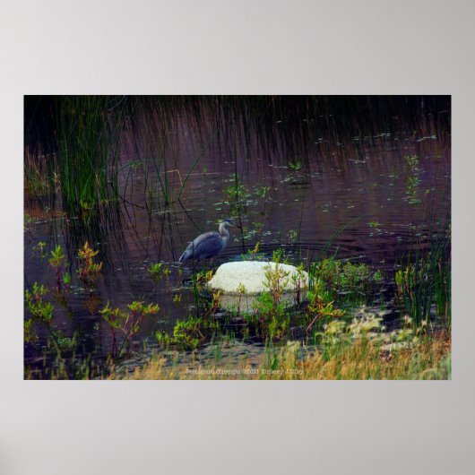 ヘロンP6987 ポスター (正面)