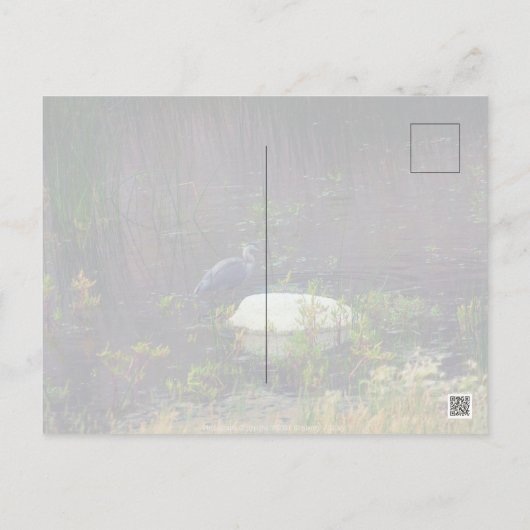 ヘロンP9687 ポストカード (裏面)