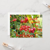 ヘローと言いたいだけだ！ カード (正面/裏面インサイチュ)