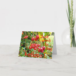 ヘローと言いたいだけだ! カード