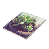 ヘンアンドチックス工場 タイル (側面)