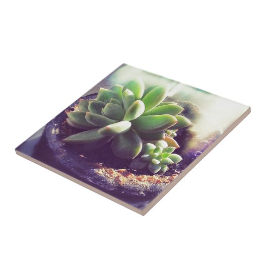 ヘンアンドチックス工場 タイル (側面)