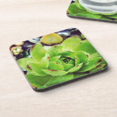 ヘンアンドチックス コースター (左側)