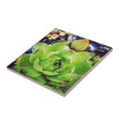 ヘンアンドチックス タイル (側面)