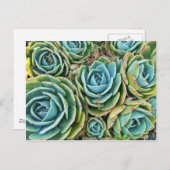 ヘンアンドチックス ポストカード (正面/裏面)