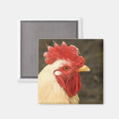 ヘンクローズアップ マグネット (正面/裏面)