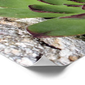 ヘンズアンドチクズガーデンサキュキュランス鏡抽象芸術 ポスター (角)