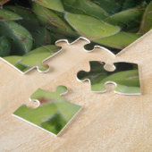 ヘンズアンドチックス多肉植物 ジグソーパズル (側面)