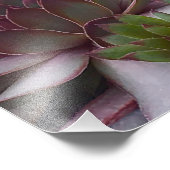 ヘンズアンドチックス フォトプリント            (角)