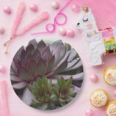 ヘンズアンドチックス ペーパープレート (パーティー)