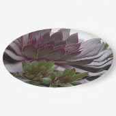 ヘンズアンドチックス ペーパープレート (アングル)