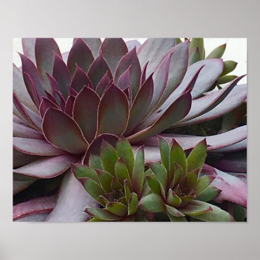 ヘンズアンドチックス ポスター (正面)