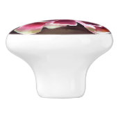 ヘンズンチクスクス多肉植物グリーンマルーン セラミックノブ (側面)