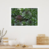 ヘンズ ポスター (キッチン)