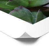 ヘンズ ポスター (角)