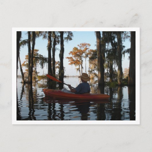 ヘンダーソンスワンプポストカード ポストカード (正面)