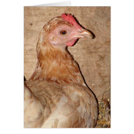 ヘンドオンネスト (正面)