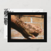 ヘンナアーバン ポストカード (正面/裏面)