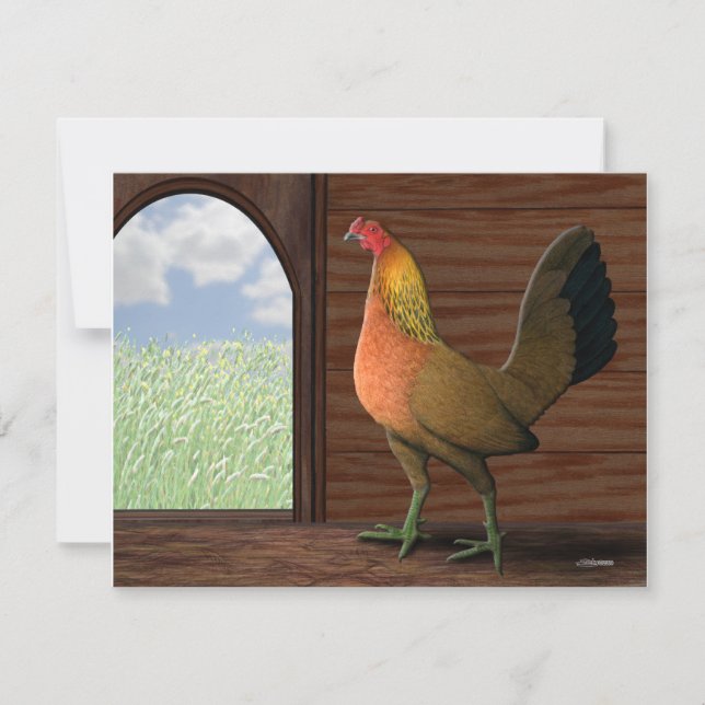 ヘンハウスビュー (正面)