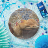 ヘンパーティー紙プレート ペーパープレート (パーティー)