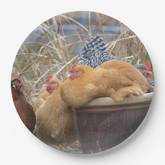 ヘンパーティー紙プレート ペーパープレート (正面)