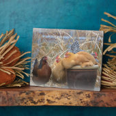 ヘンプラーク フォトプラーク (側面)