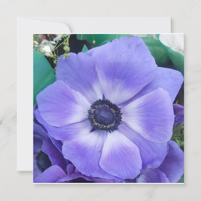 ヘンリエッタ (正面)