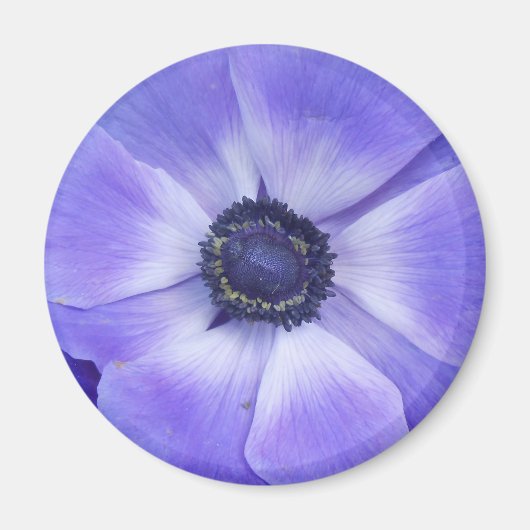 ヘンリエッタ マグネット (正面)