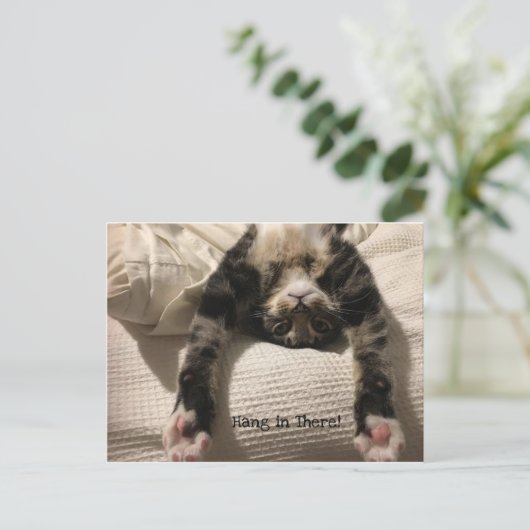 ヘンリー・キャット・イー・マーン・勇気付けられるまたは悔やみや弔慰 ポストカード (スタンド正面)