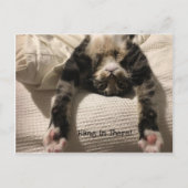 ヘンリー・キャット・イー・マーン・勇気付けられるまたは悔やみや弔慰 ポストカード (正面)