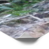 ヘンリー・デイヴィッド・ソロー動物愛護権引用文 ポスター (角)